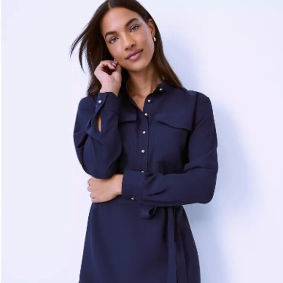 Ann Taylor Dresses & Skirts - Ann Taylor NWT Classic Long Sleeve Shirtdress Navy Blue Size 4 P petite